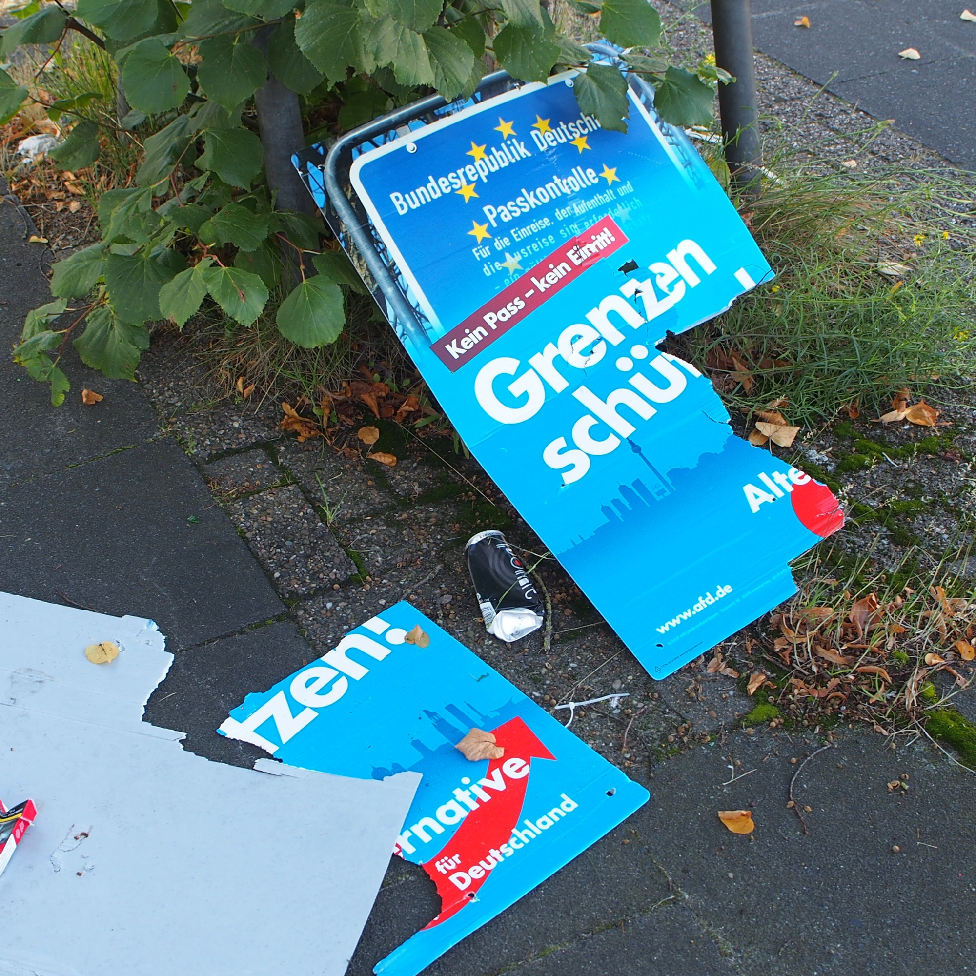 Zerissenes AfD Wahlplakat